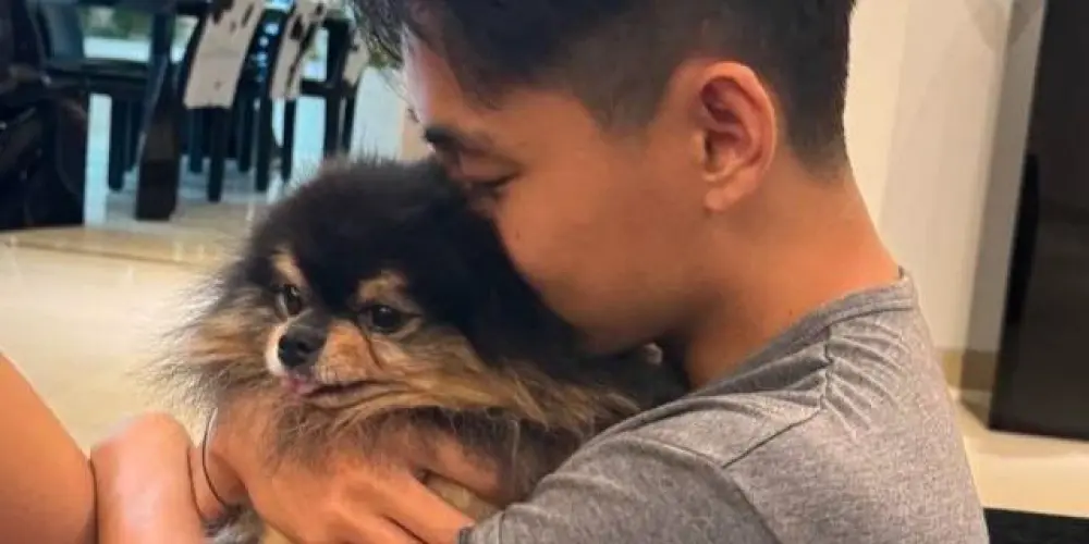 Imagem do grupo de WhatsApp 𝘽𝘼𝙉𝙂𝙏𝘼𝙉 𝙎𝙊𝙉𝙔𝙀𝙊𝙉𝘿𝘼𝙉⟭⟬💜⁷