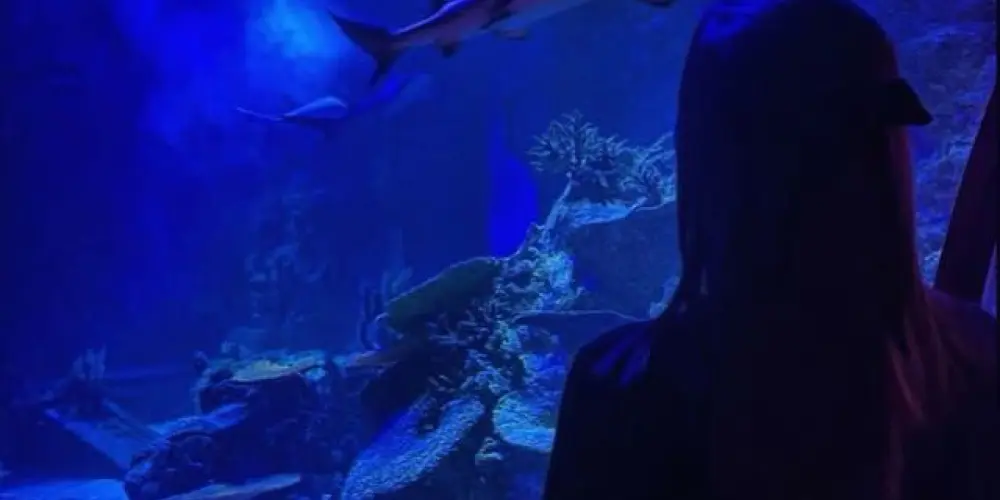 Imagem do grupo de WhatsApp ﮩ٨ــㅤ⃟🌊E𝗩E𝗥𝗠͢𝗜𝗡𝗗̷̸╃̷ؑ𖥔 ݁ ˖   ✦