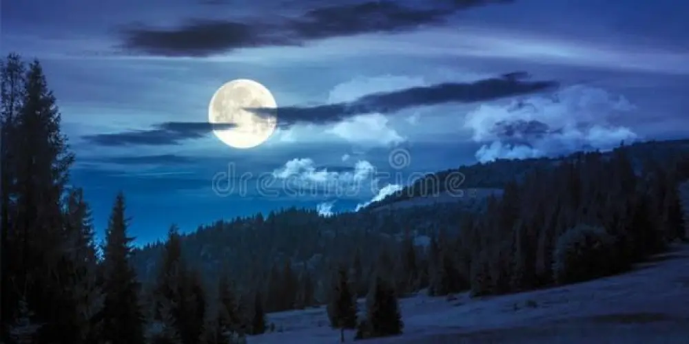 Imagem do grupo de WhatsApp 99 noites na floresta🌲🦌👦