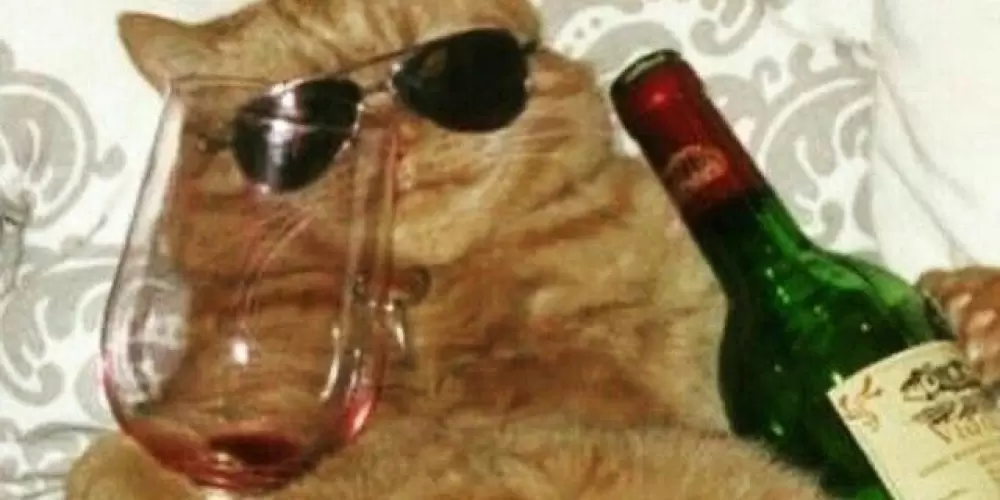 Imagem do grupo de WhatsApp 9°ano né amor 🥴👑💜