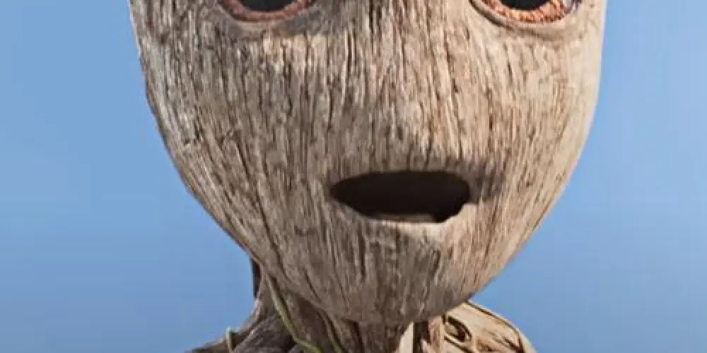 Imagem do grupo de WhatsApp 𝐎 Á𝐑𝐕𝐎𝐑𝐄