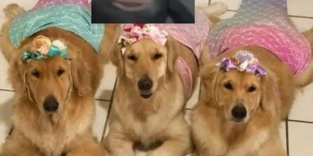 Imagem do grupo de WhatsApp ℚ𝕦𝕖 𝕕𝕖𝕡𝕣𝕖𝕤𝕤ã𝕠 🌈