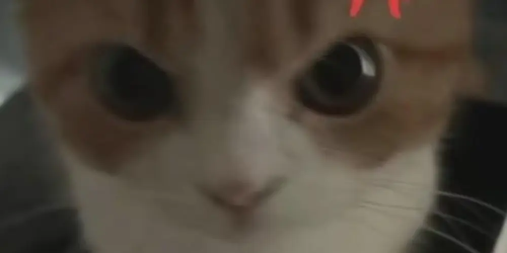 Imagem do grupo de WhatsApp 𝑭𝒊𝒈𝒖𝒓𝒊𝒏𝒉𝒂𝒔 𝒆 𝑫𝒊á𝒍𝒐𝒈𝒐𝒔 💯🙃↔️