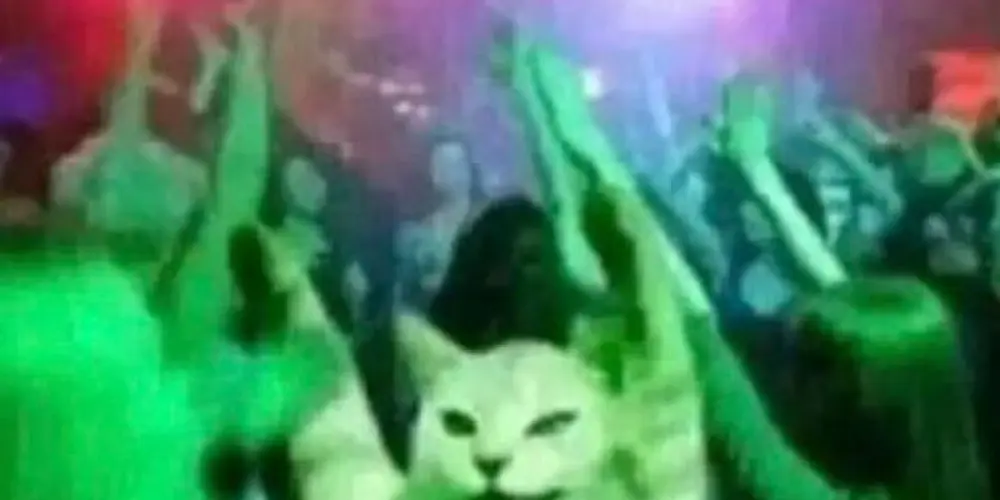 Imagem do grupo de WhatsApp 🇦🇴ꜱᴀɴᴛᴜáʀɪᴏ ᴄʜᴀᴛूाीू