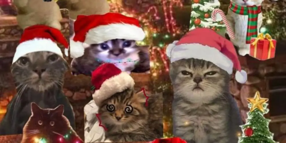 Imagem do grupo de WhatsApp ☃️꧁𝖀𝖓𝖎𝖛𝖊𝖗𝖘𝖔 𝖓ã𝖔 𝖕𝖆𝖗𝖆𝖑𝖊𝖑𝖔꧂☃️