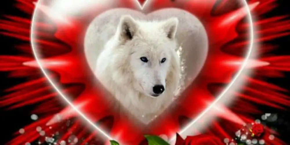 Imagem do grupo de WhatsApp 🇱 🇴 🇧 🇦🐺  𝔦𝔫𝔡𝔬𝔪á𝔳𝔢𝔩