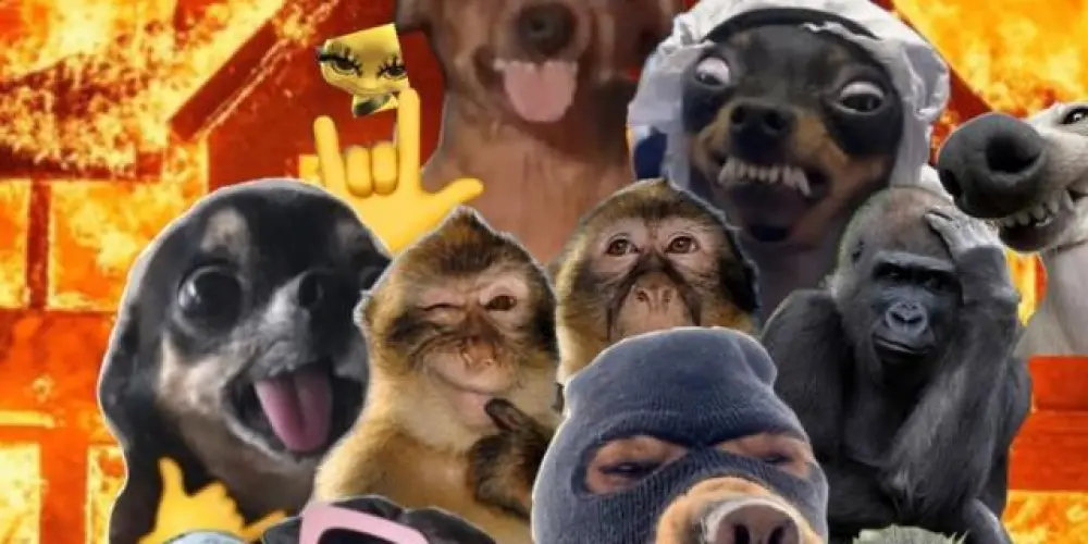 Imagem do grupo de WhatsApp ᑕᓰᗞᗩᗞãᓍ ᗞᗩ ᗯᘿᗷ