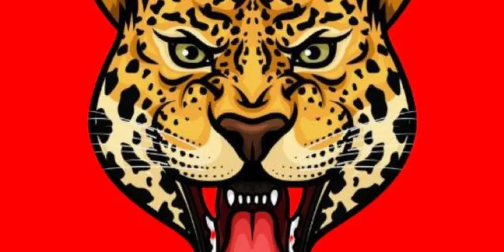 Imagem do grupo de WhatsApp 🐯AᎷᎥᎶᎧᏕ ᎴǺ ᎧᏁçǺ 🐯