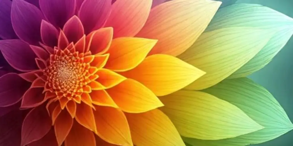 Imagem do grupo de WhatsApp A amizade