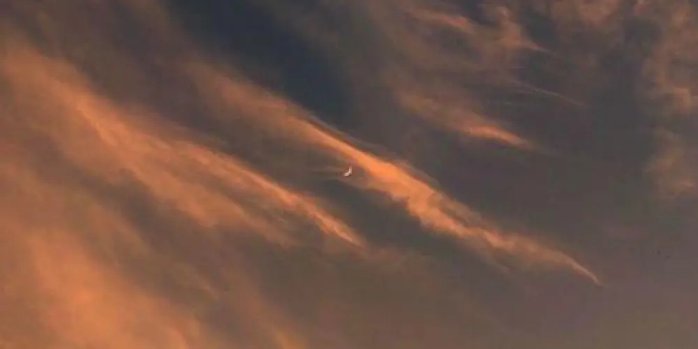 Imagem do grupo de WhatsApp A ARTE DA EVOLUÇÃO