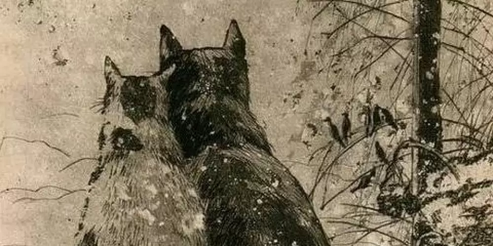 Imagem do grupo de WhatsApp ꧁ḐℐṾṲḼℊẶ ♏ẶℐŠ꧂