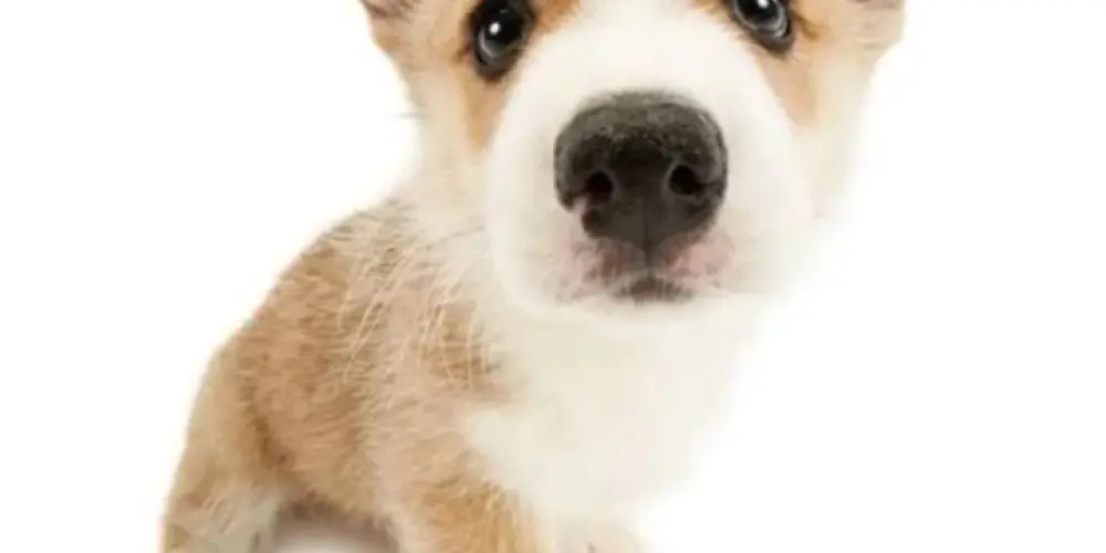 Imagem do grupo de WhatsApp A culpa não é nossa 💯