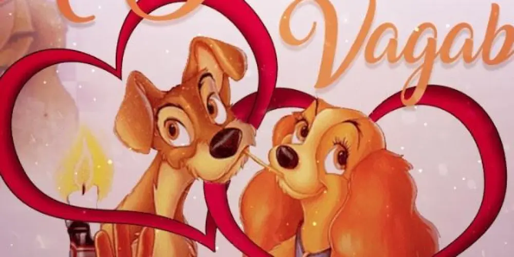 Imagem do grupo de WhatsApp A dama e o vagabundo