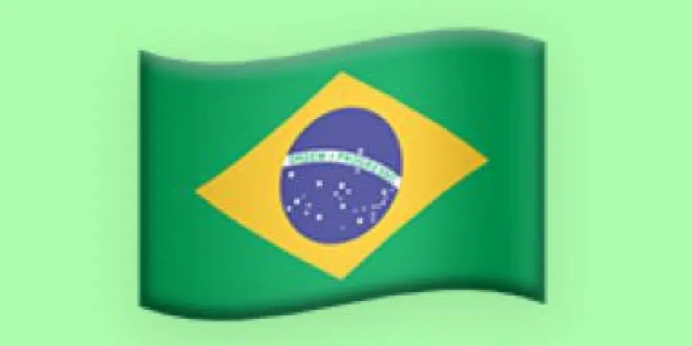Imagem do grupo de WhatsApp A Direita VIVE