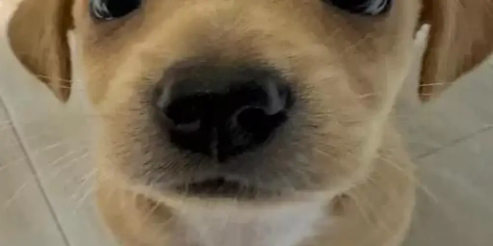 Imagem do grupo de WhatsApp 👀 𝘿𝙞𝙫𝙚𝙧𝙨Ã𝙤 €ŇŦŘ€ amigos