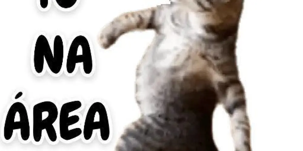 Imagem do grupo de WhatsApp A gente só vive uma vez