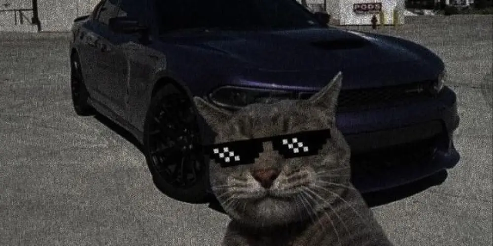 Imagem do grupo de WhatsApp A Grande Desfamilia