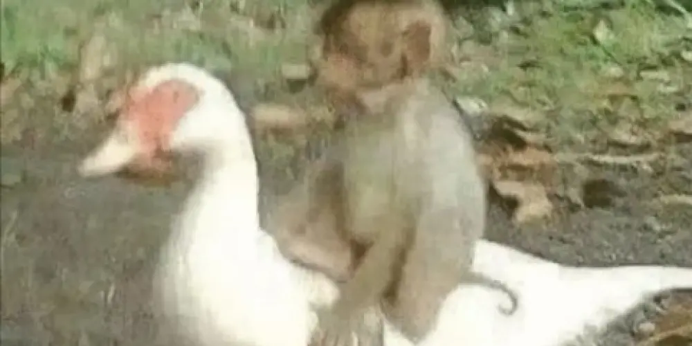 Imagem do grupo de WhatsApp 🌈 𝚌𝚘𝚗𝚎𝚡ã𝚘 𝚊𝚕𝚎𝚊𝚝ó𝚛𝚒𝚊 🌈