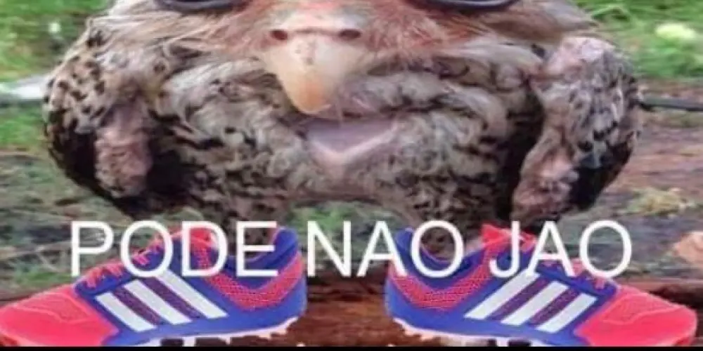 Imagem do grupo de WhatsApp A QUEDA DOS PODEROSOS