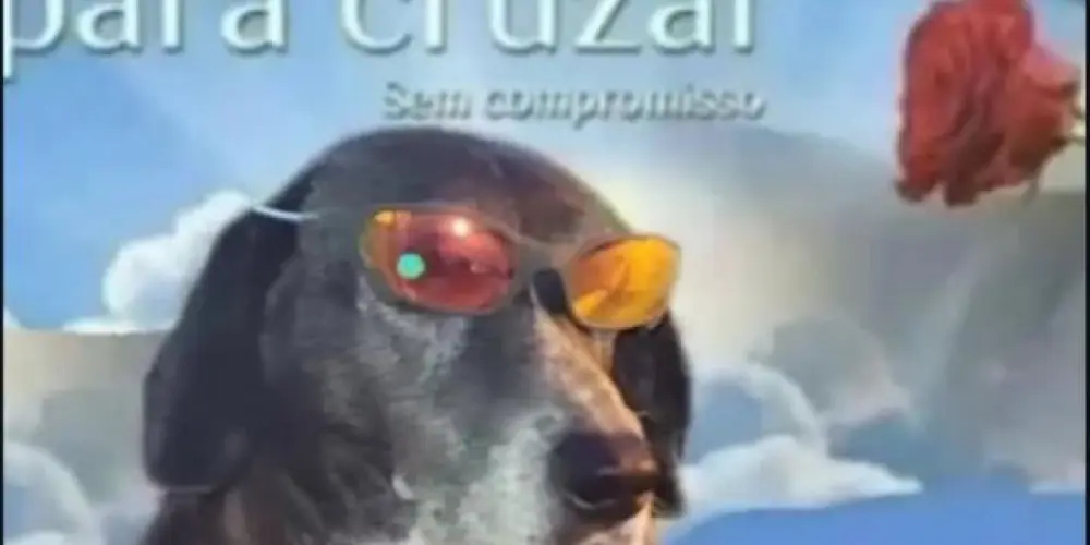 Imagem do grupo de WhatsApp A revolta da chibata