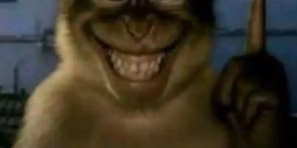 Imagem do grupo de WhatsApp A tribo da resenha 🥳