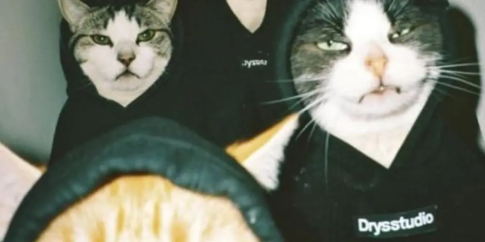 Imagem do grupo de WhatsApp A Turma do Barulho 🔊 😜