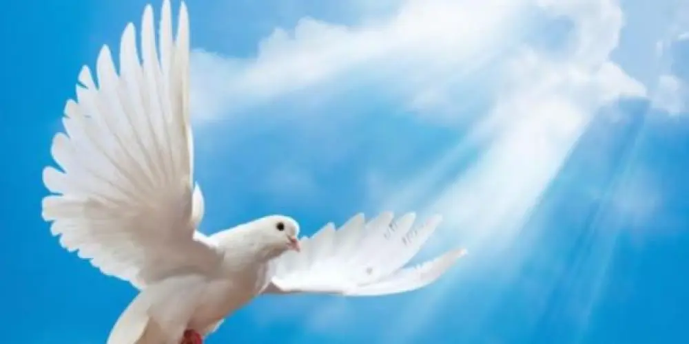 Imagem do grupo de WhatsApp A VIDA NO PODER DO ESPÍRITO SANTO 🕊