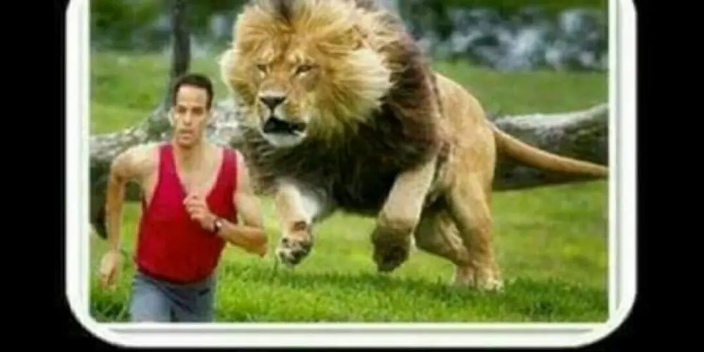 Imagem do grupo de WhatsApp Acabou! É treta!