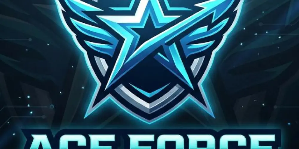 Imagem do grupo de WhatsApp ACE FORCS gamer