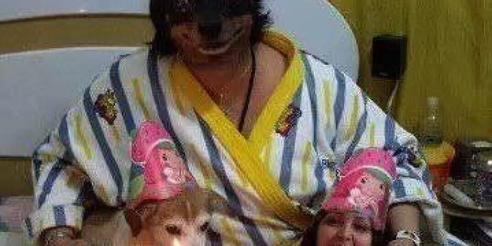 Imagem do grupo de WhatsApp acervo flop