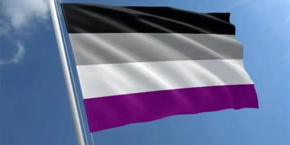 Imagem do grupo de WhatsApp Ace's 💜🤍🩶🖤