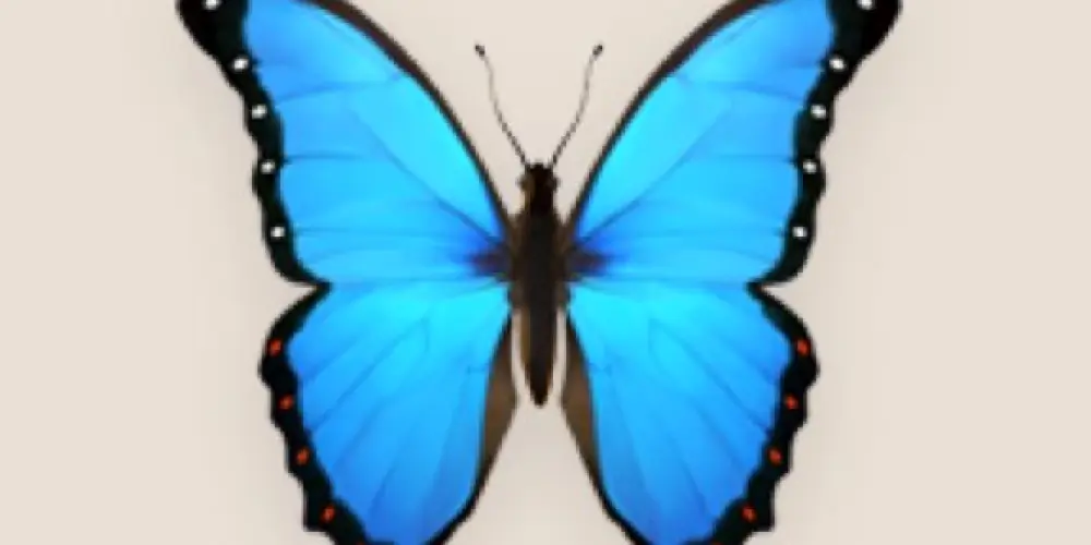 Imagem do grupo de WhatsApp Acolhidos - Grupo de Acolhimento | @larissabarlati