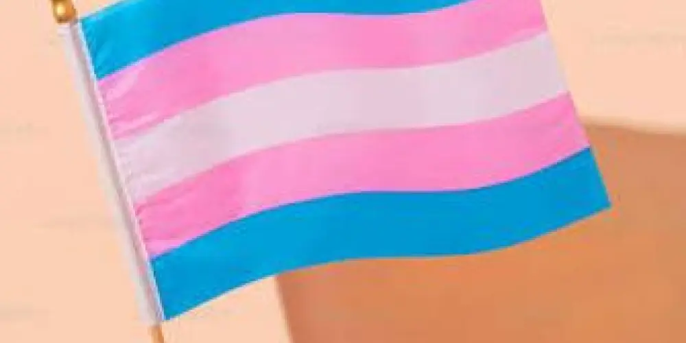 Imagem do grupo de WhatsApp Acolhimento Apoio E Liberdade A Comunidade Trans 🏳️‍⚧️