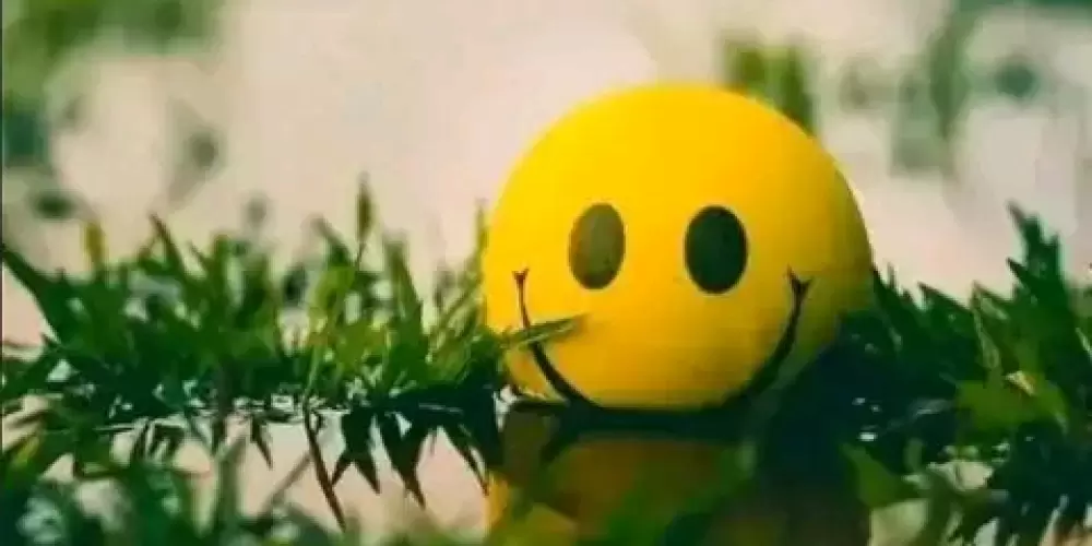 Imagem do grupo de WhatsApp Add Popupares Amizade em to Lado