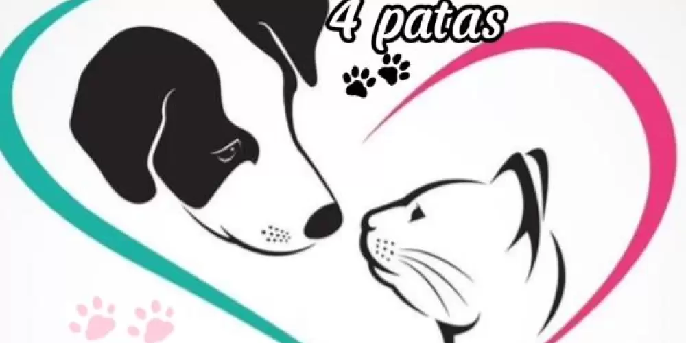 Imagem do grupo de WhatsApp Adoção de pets Valparaíso