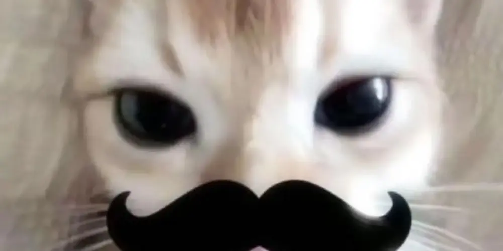 Imagem do grupo de WhatsApp adventureclub