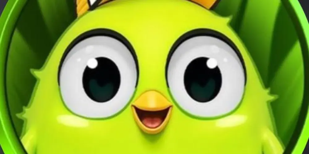 Imagem do grupo de WhatsApp AFUN BET