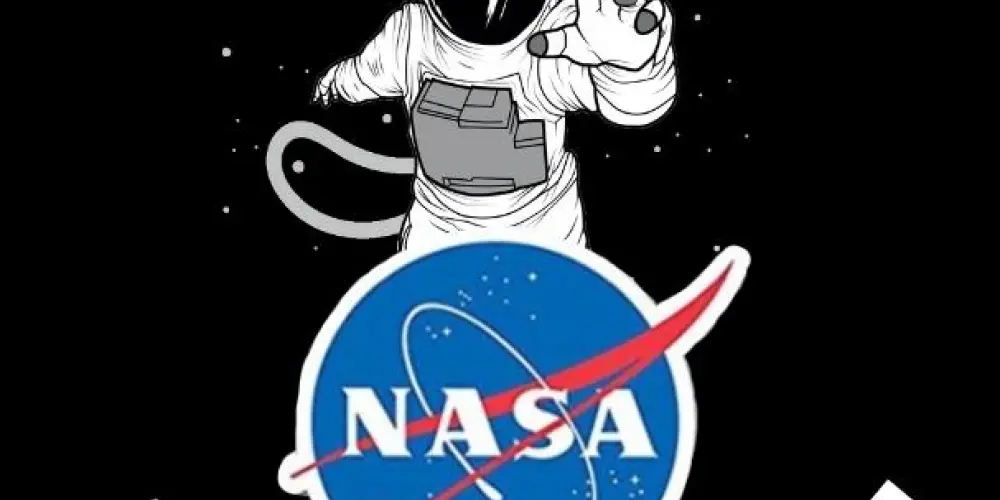 Imagem do grupo de WhatsApp AGORA A NASA VEM