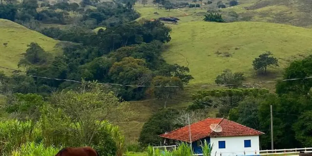 Imagem do grupo de WhatsApp AGRO BRASIL NAO PARA 🚜😍