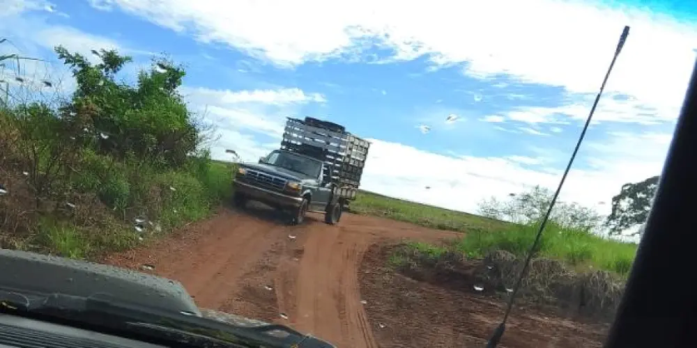 Imagem do grupo de WhatsApp Agromineiro 🐂🇧🇷🌱🌵