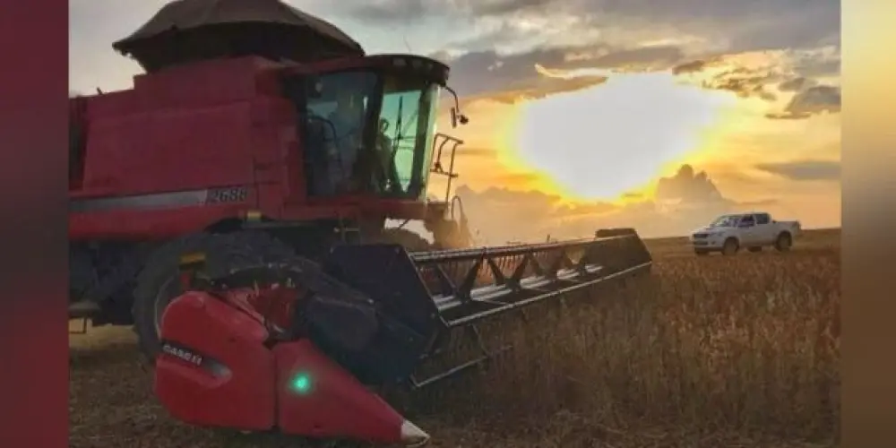 Imagem do grupo de WhatsApp Agroo é vida 🚜🌾🍀