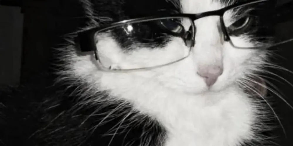 Imagem do grupo de WhatsApp Aí calica★