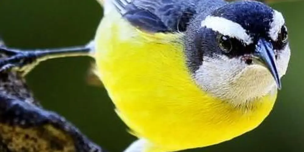 Imagem do grupo de WhatsApp ẶԻїḁ 51 )( ḉℏḁ☂🥳