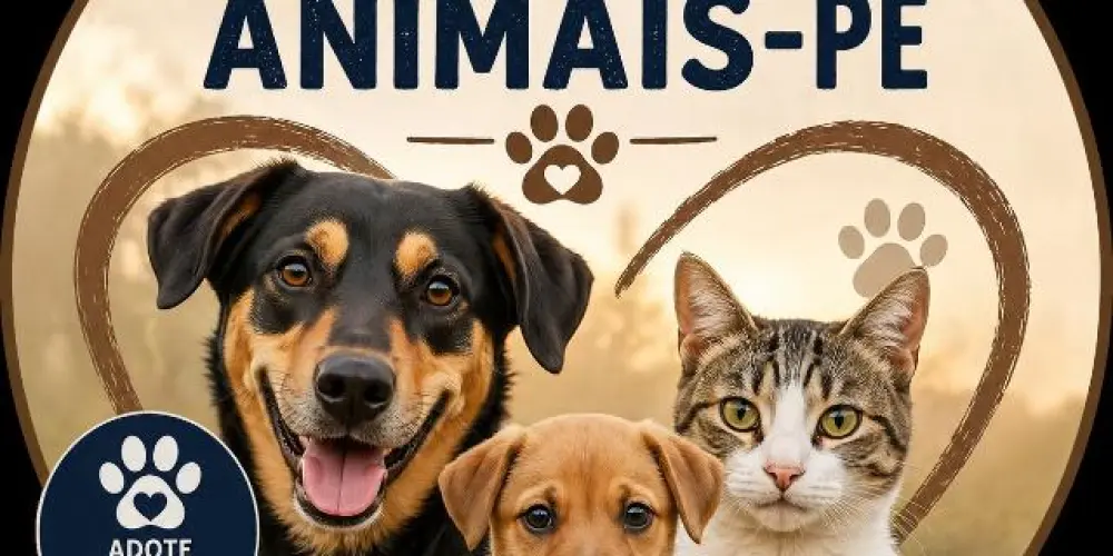 Imagem do grupo de WhatsApp ❤️🐱 AJUDA AOS ANIMAIS-PE 🐶❤️