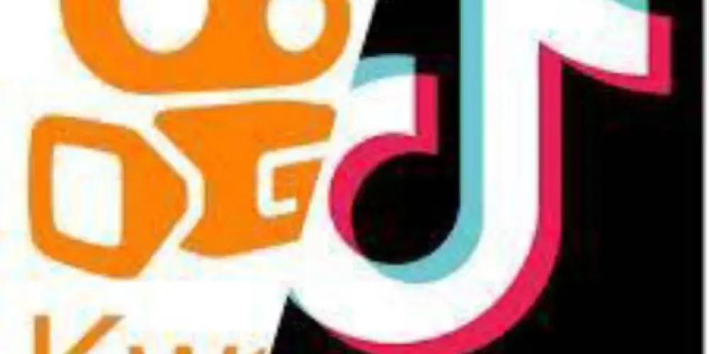 Imagem do grupo de WhatsApp Ajuda tik Tok e Kwai