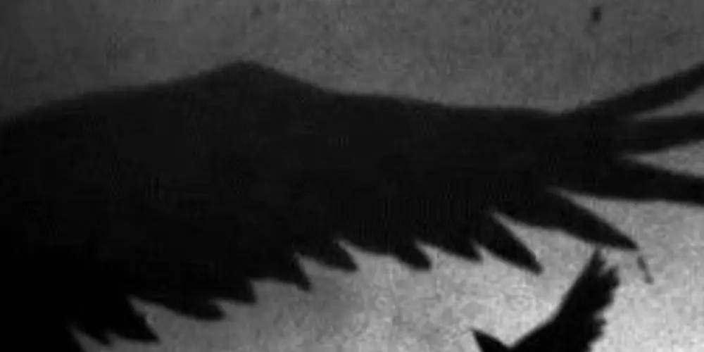 Imagem do grupo de WhatsApp Akage's Island