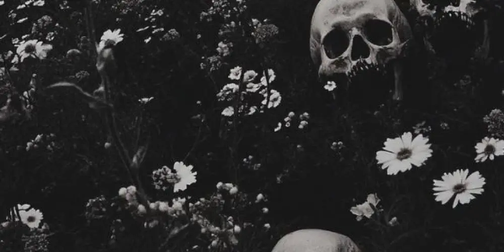 Imagem do grupo de WhatsApp Alaska