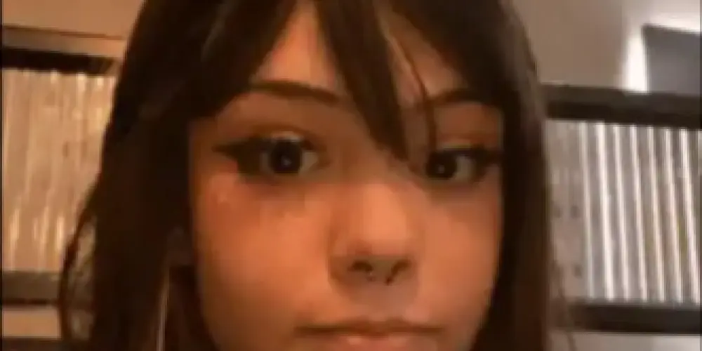 Imagem do grupo de WhatsApp 🐺ALCATEIA🐺