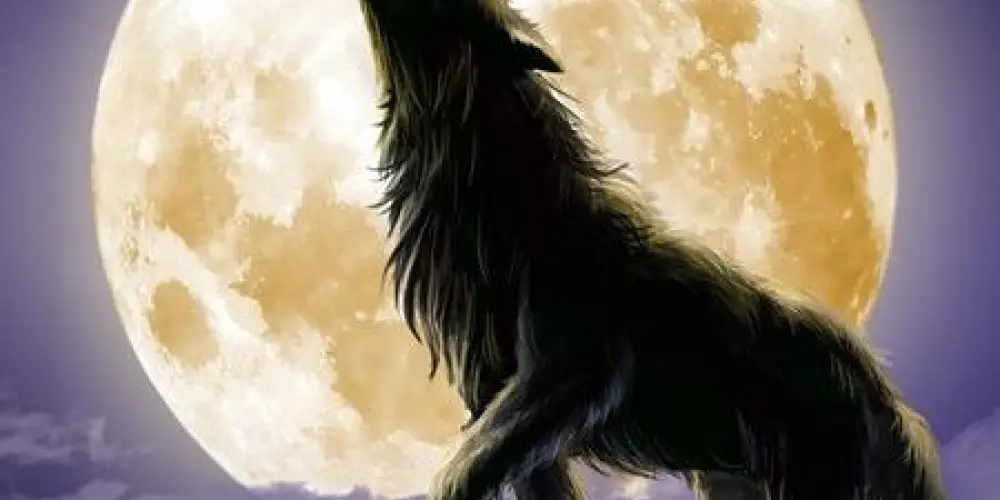 Imagem do grupo de WhatsApp ALCATEIA  SOLITARIA