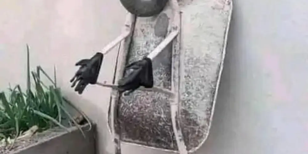 Imagem do grupo de WhatsApp Aldeia 2.0